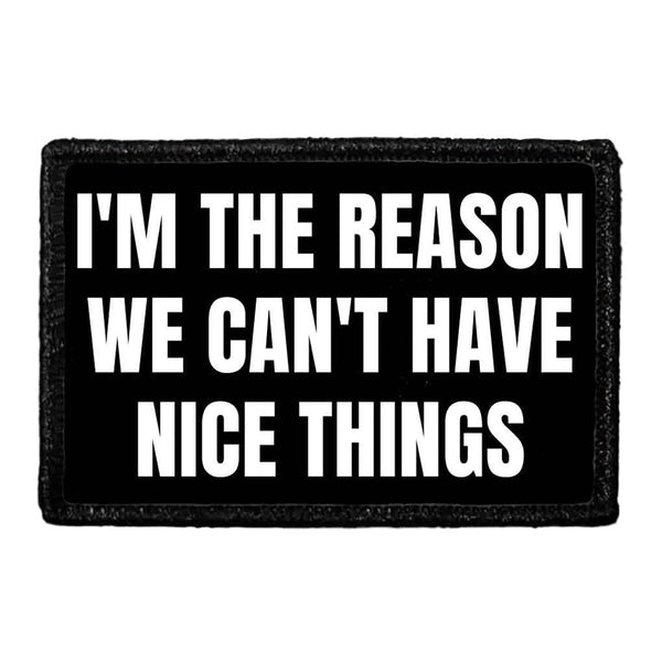 I'm The Reason We Can't Have Nice Things - Removable Patch - Pull Patch - Removable Patches That Stick To Your Gear