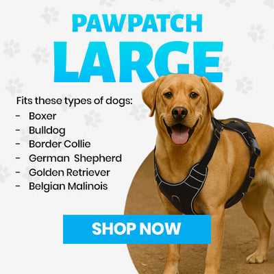 LARGE: DOG HARNESS