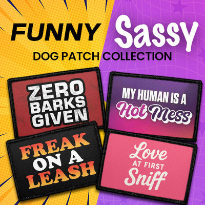 Dogs - Funny & Sassy