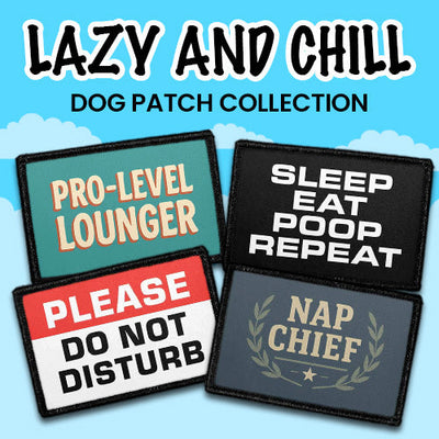 Dogs - Lazy & Chill