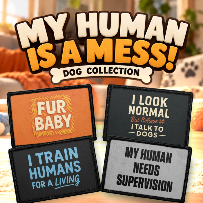 Dogs - My Human is a Mess