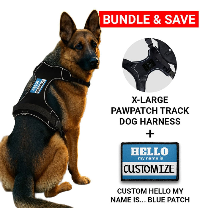 Bundle: Custom Hello My Name + PawPatch Track Dog Harness (Blue - X-Large)