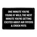 One Minute You're Young N' Wild, The Next Minute You're Getting Excited About Air Fryers & Crock Pots - Removable Patch - Pull Patch - Removable Patches That Stick To Your Gear