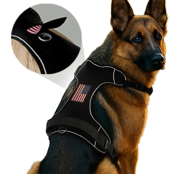 PawPatch Track Dog Harness: Large