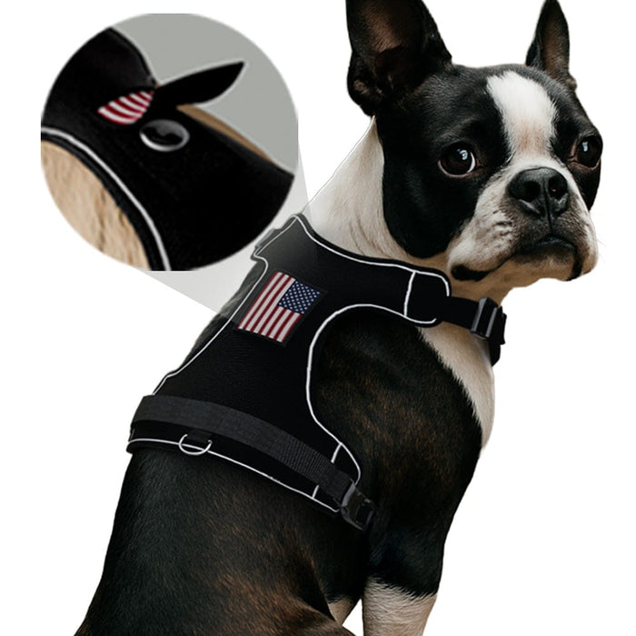 PawPatch Track Dog Harness: Medium