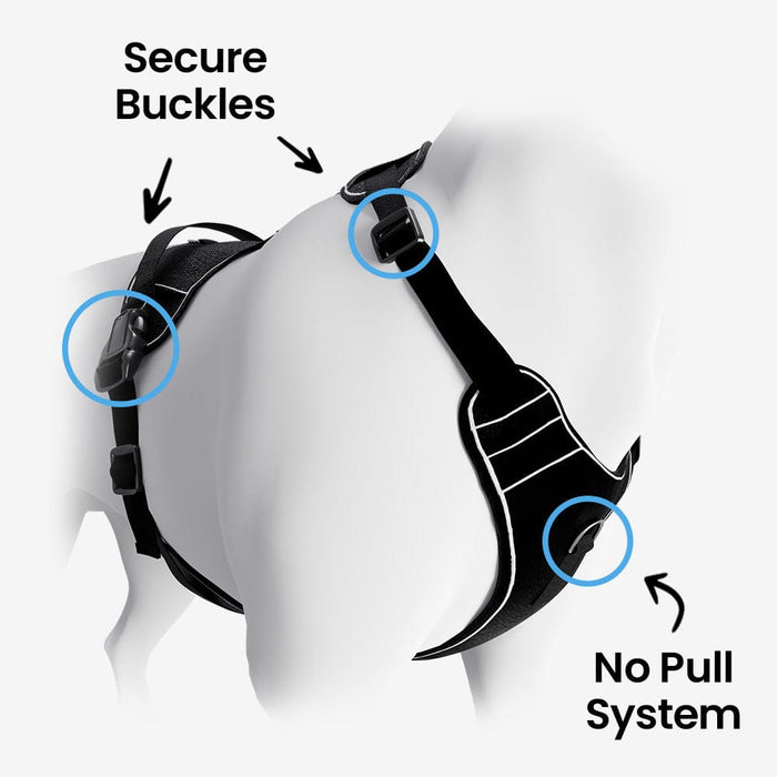 PawPatch Track Dog Harness: Large