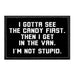 I Gotta See The Candy First. Then I Get In The Van. I'm Not Stupid. - Removable Patch - Pull Patch - Removable Patches That Stick To Your Gear