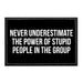 Never Underestimate The Power Of Stupid People In The Group - Removable Patch - Pull Patch - Removable Patches For Authentic Flexfit and Snapback Hats