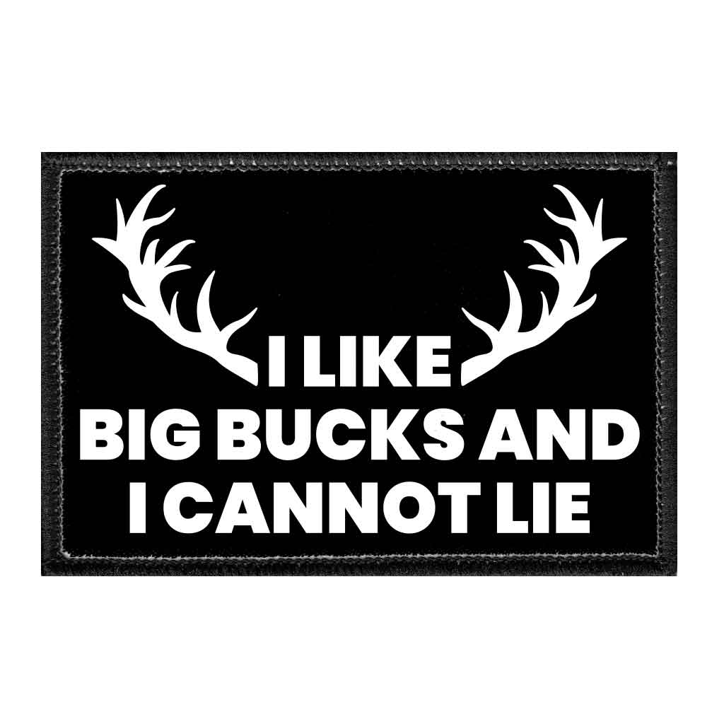 I Like Big Bucks And I Cannot Lie - Removable Patch - Pull Patch - Removable Patches For Authentic Flexfit and Snapback Hats