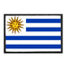 Uruguay Flag - Color - Removable Patch - Pull Patch - Removable Patches For Authentic Flexfit and Snapback Hats